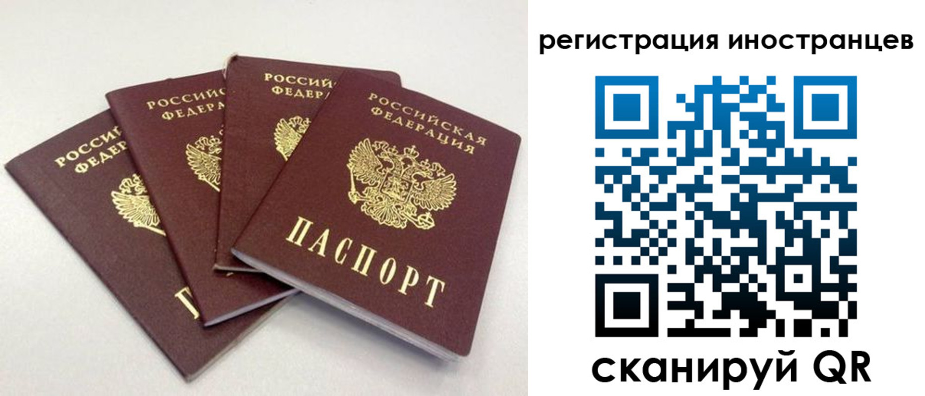 временная регистрация для школы в Котласе